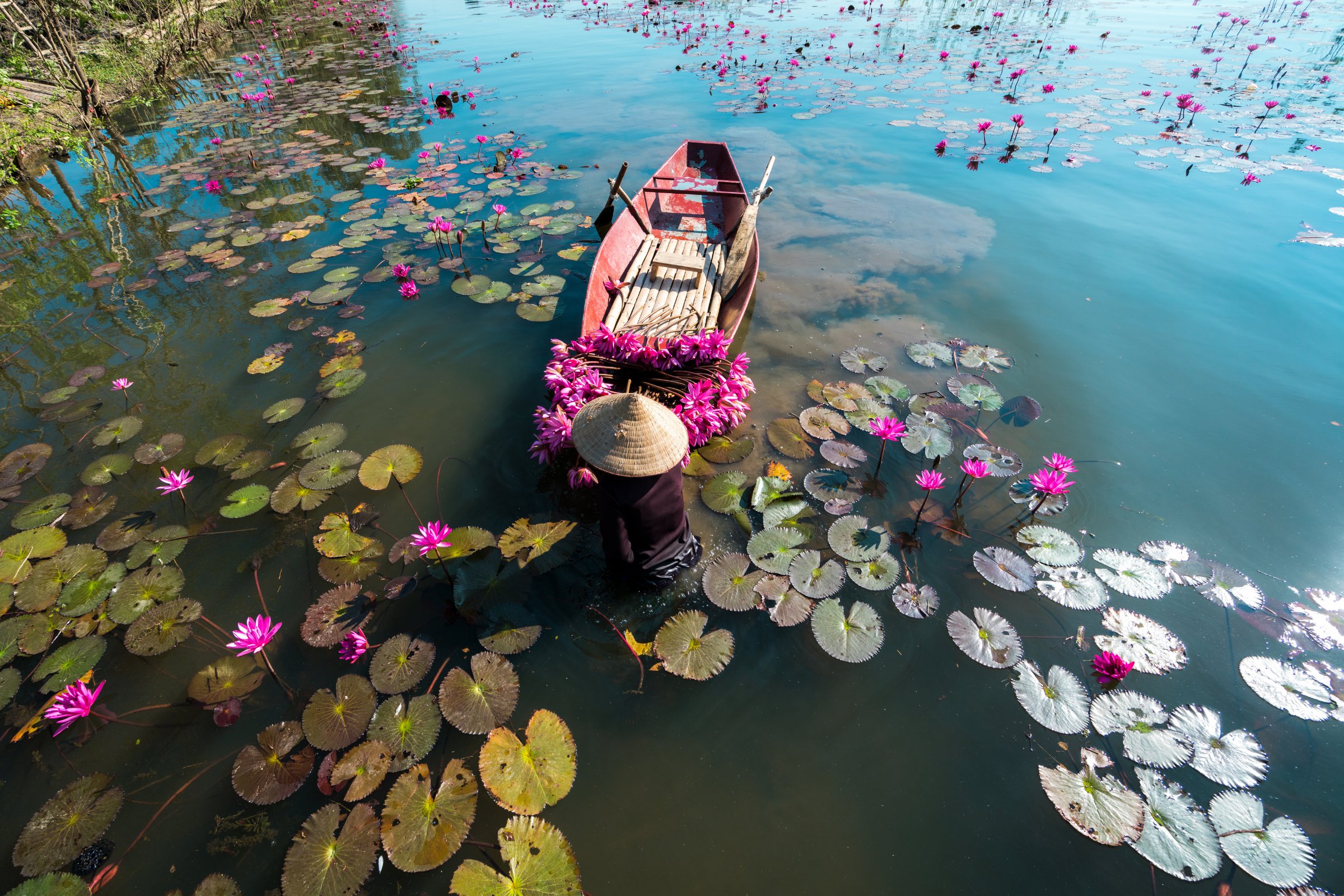 ninh bình (3).webp